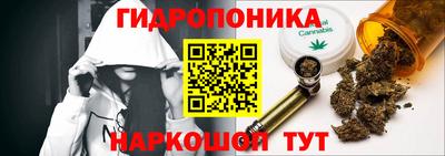 мдпв Гусь-Хрустальный