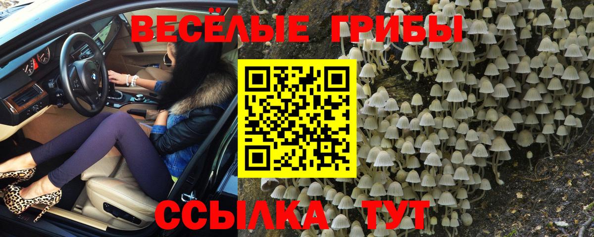 Нефтекумск  Псилоцибиновые грибы Psilocybe  купить наркотики сайты  Вход с VPN 